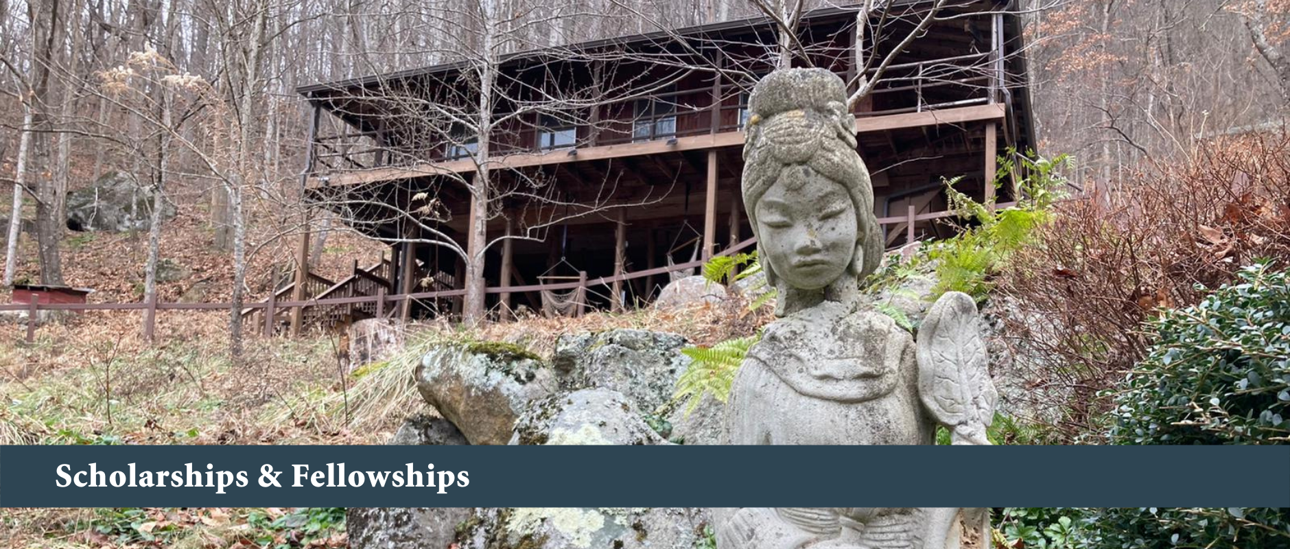 Scholarships & Fellowships Scholarships & Fellowships