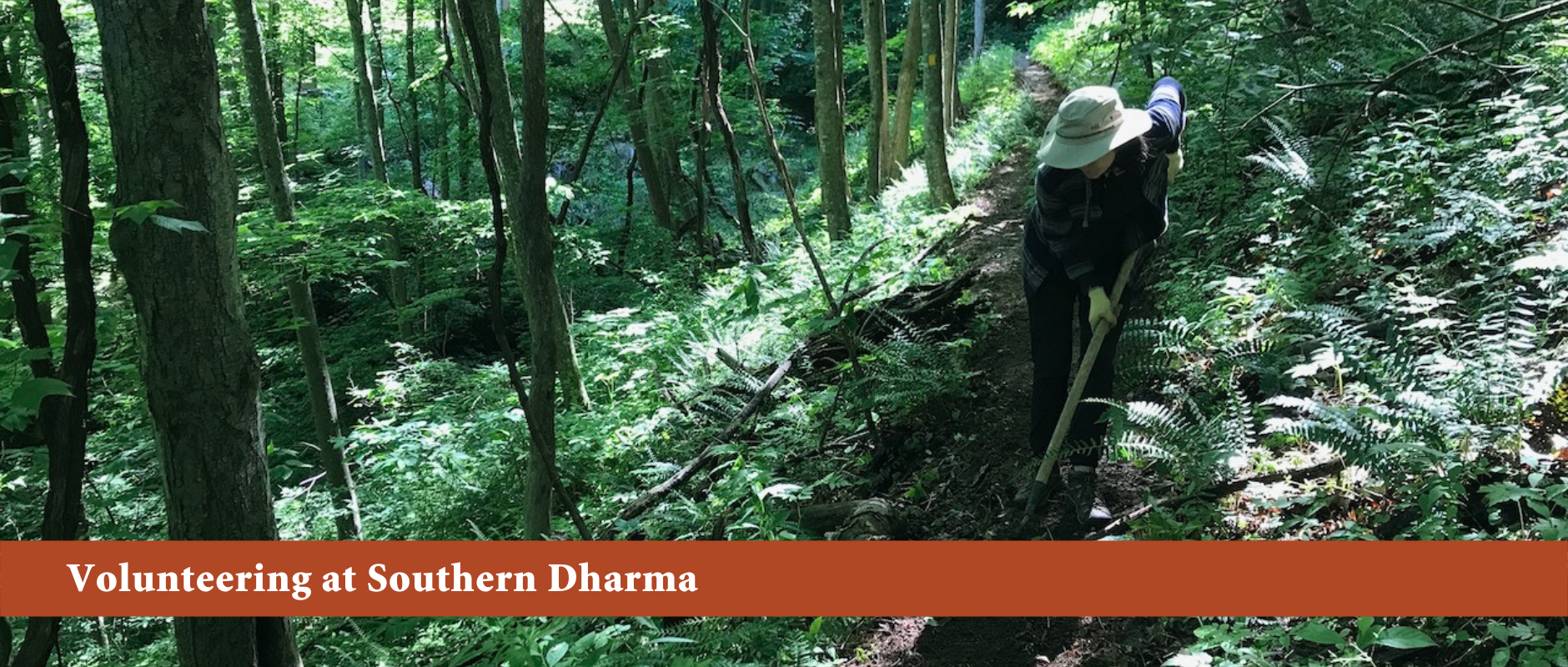 Volunteering at Southern Dharma Volunteering at Southern Dharma